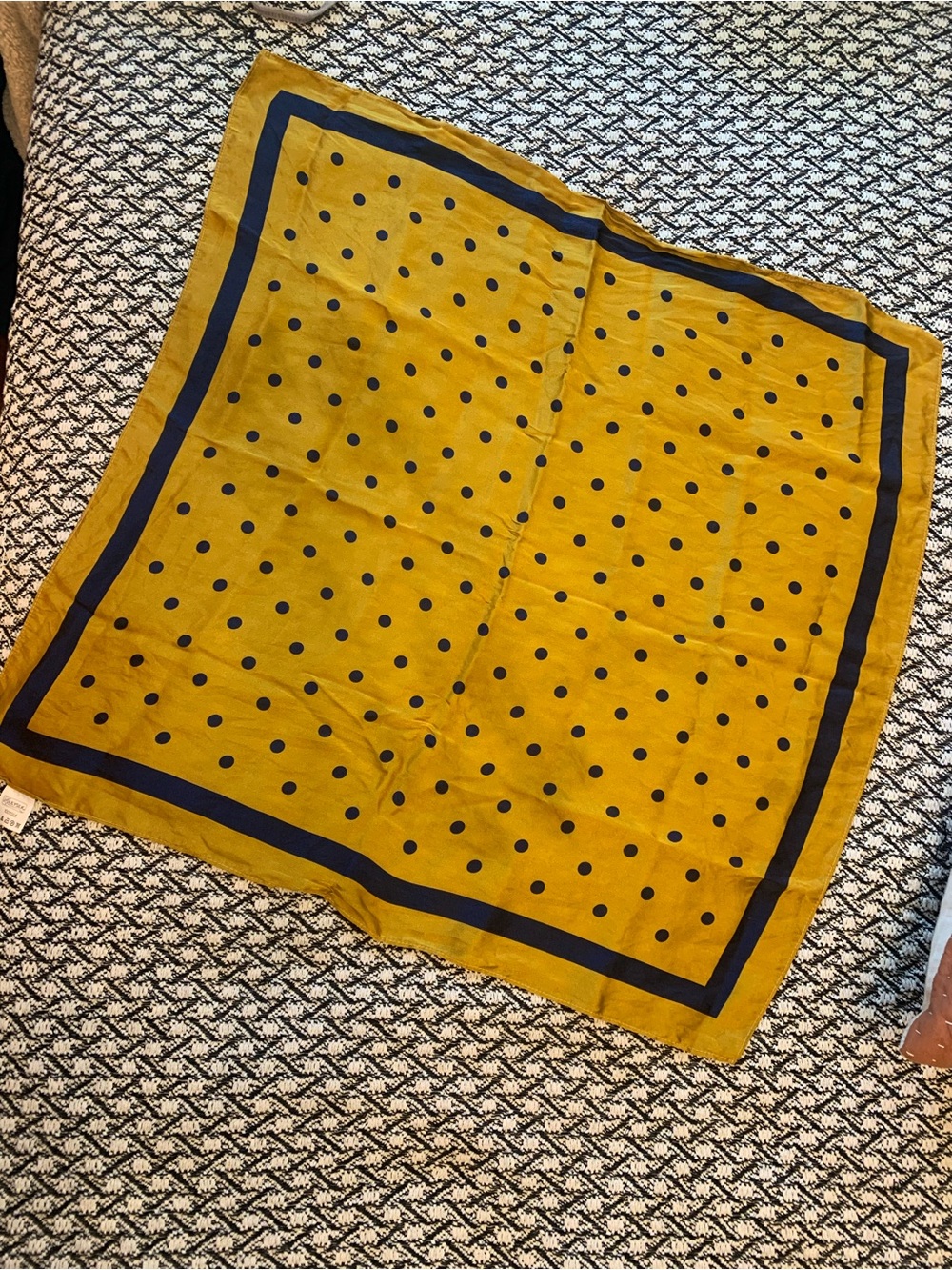 🌸 4 for $20 / Mustard & Navy Polka Dot Scarf